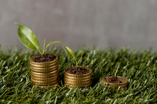 Les investissements climat en baisse en 2024