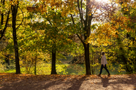3 questions à Cyrille Crionnet, responsable de l'unité sentiers-animations à la Métropole