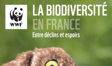 La biodiversité en France, entre déclins et espoirs (WWF)