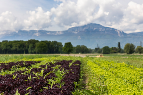 3 questions à Lilian Vargas, chef de service Agriculture, Forêt, Biodiversité, Montagne de Grenoble Alpes Métropole
