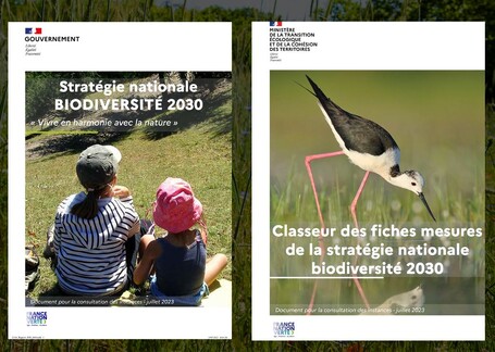 La stratégie Biodiversité 2030 du gouvernement dévoilée