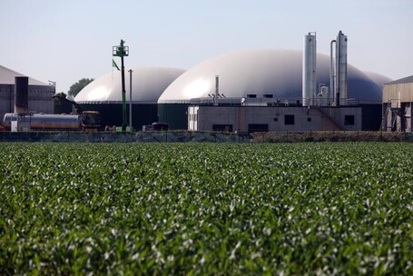 La biomasse : l'or vert de demain