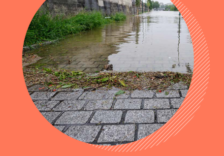 L'eau de pluie, une amie qui refait surface [Les essentiels du Cerema]