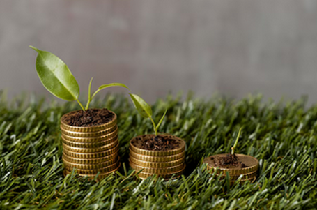 Les investissements climat en baisse en 2024
