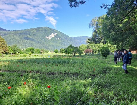 3 questions sur une démarche locale d'agro-écologie avec Marie Maussin, chargée de mission biodiversité à la Métropole