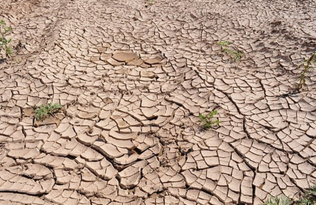 La trajectoire de réchauffement de référence pour s’adapter au changement climatique