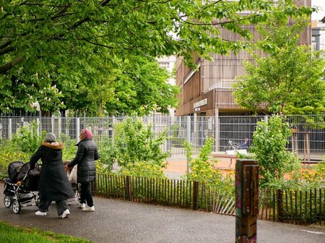 Nature en ville : 22 000 vies sauvées en 2023 grâce aux espaces verts