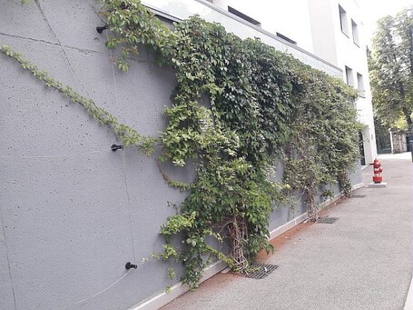 Un décret permet de déroger aux règles d'urbanisme pour la végétalisation des bâtiments