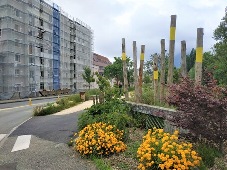Fonds vert : 1,5 millards d'euros promis pour la transition écologique des collectivités