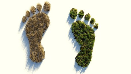 Première méthodologie d’évaluation des impacts des entreprises sur la Nature adaptée aux besoins des PME et ETI