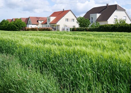 Territorialisation du zéro artificialisation nette : une nouvelle circulaire somme les préfets d'agir