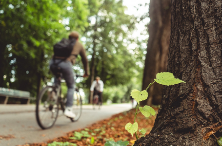 Une méthode pour développer les trajets en vélo en zone rurale au moindre coût