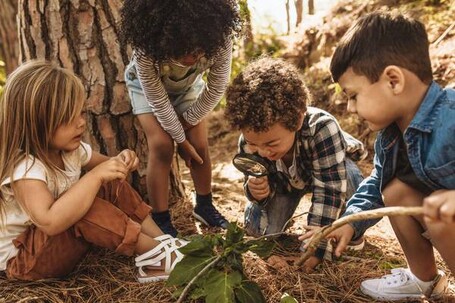 Inscriptions aux projets d’éducation à l'environnement 2026-2027 : c'est parti !