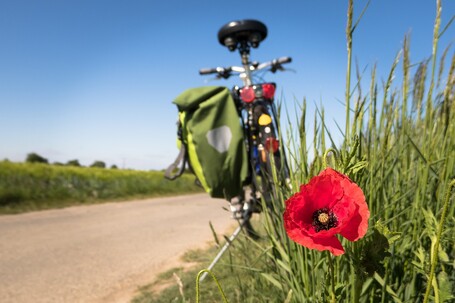 Développer le vélotourisme dans sa collectivité avec les aides de l'Ademe