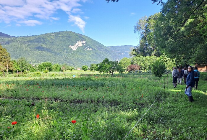 3 questions sur une démarche locale d'agro-écologie avec Marie Maussin, chargée de mission biodiversité à la Métropole