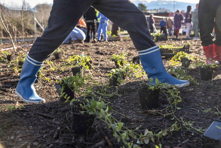 À Fontaine, écoliers et habitants s'unissent pour végétaliser la ville