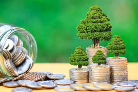 Mise en œuvre de l’obligation d’achat de biens issus de l’économie circulaire
