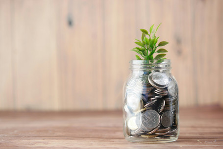 Budget vert : échanges avec les responsables financiers des communes de la Métropole 