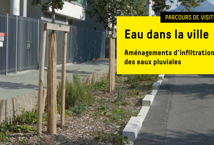 Actualité